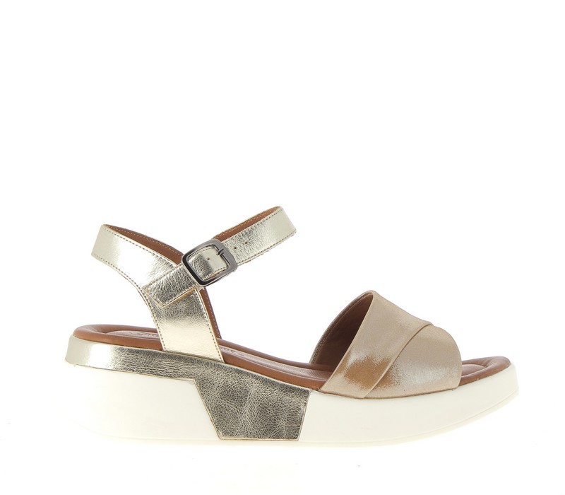 v3382c-camel