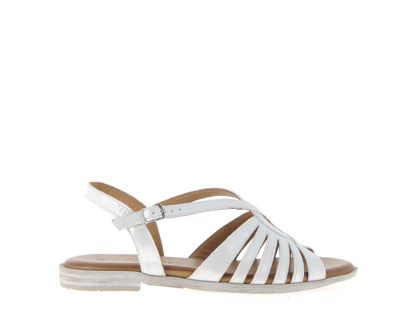 v3389c-blanc