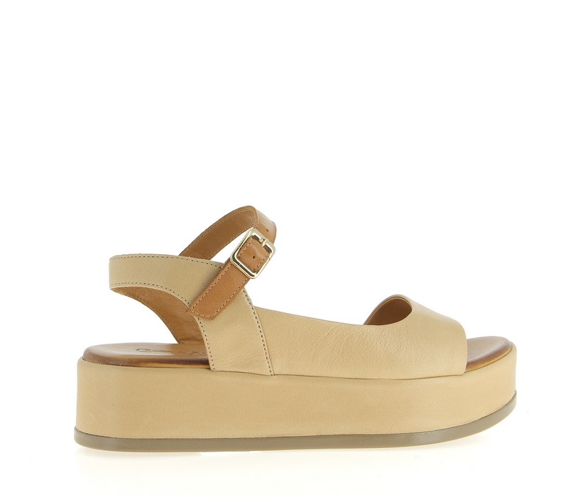 v3395a-camel