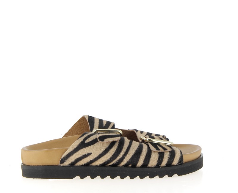 v3398s-zebre