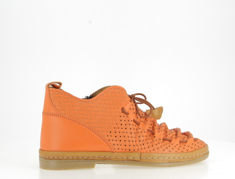 v3429a-corail