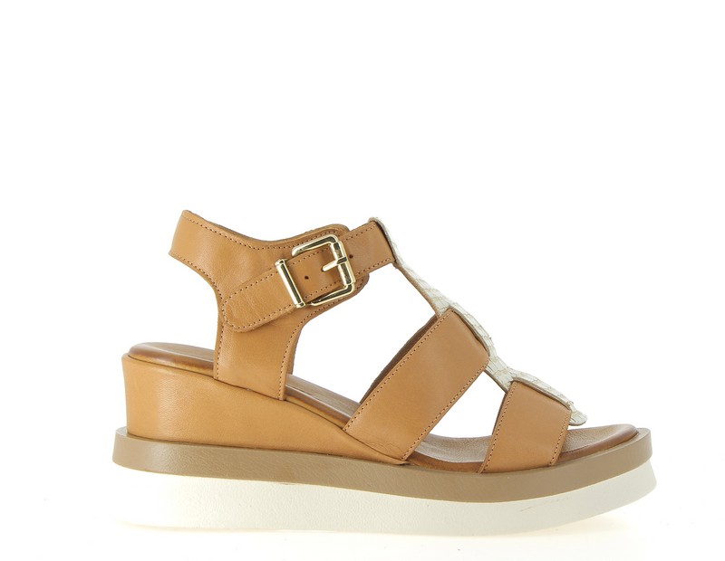 v3511a-coconut