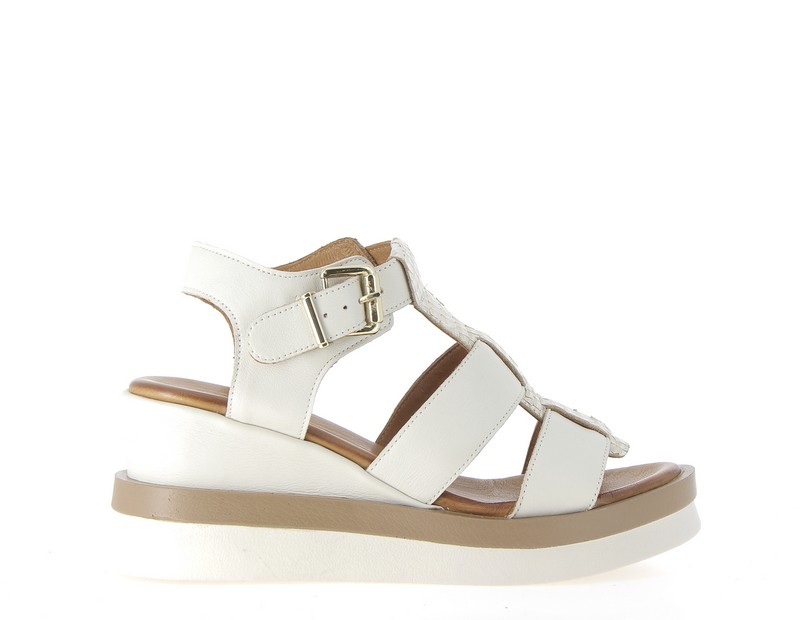v3511a-creme