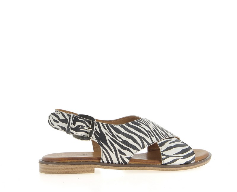 v3361r-zebre
