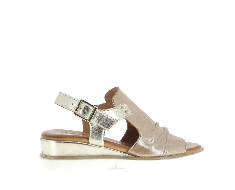 v3367c-camel