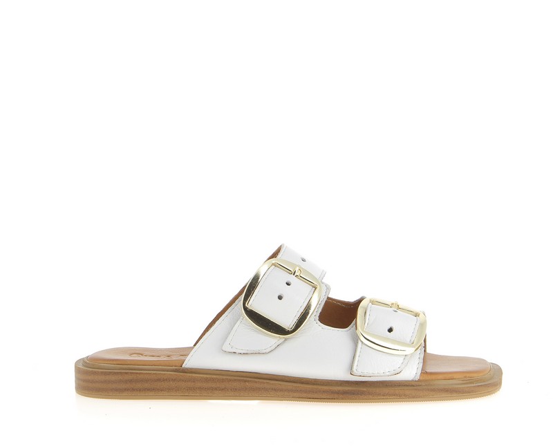 v3422a-blanc