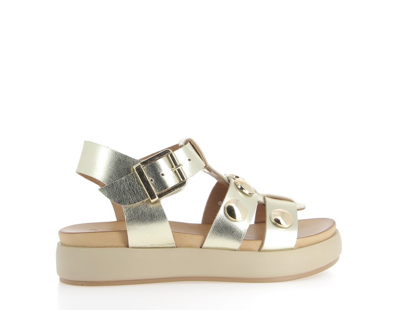 v3321q-gold