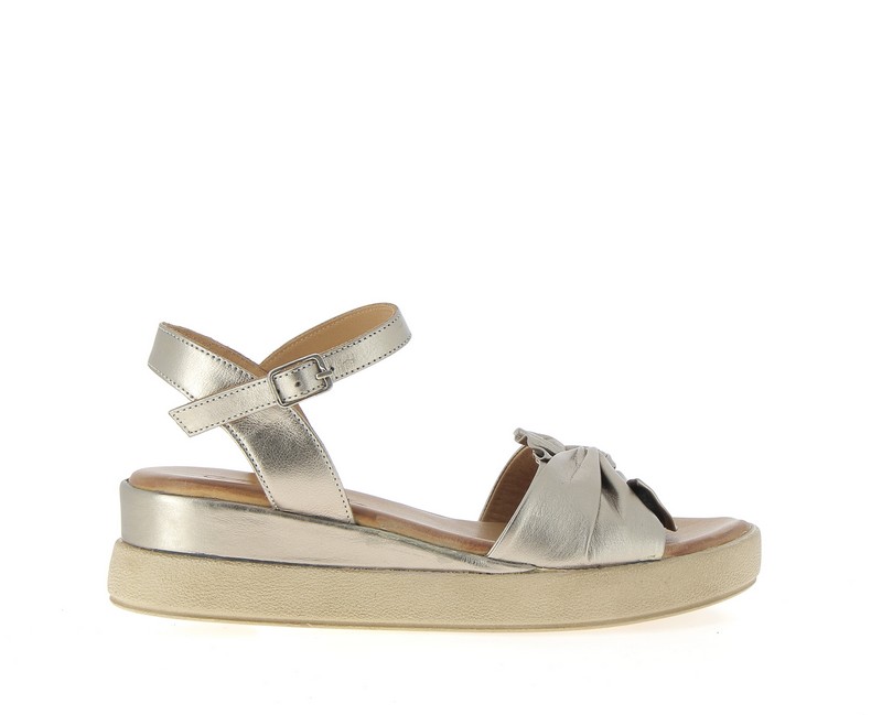 v3376l-champagne