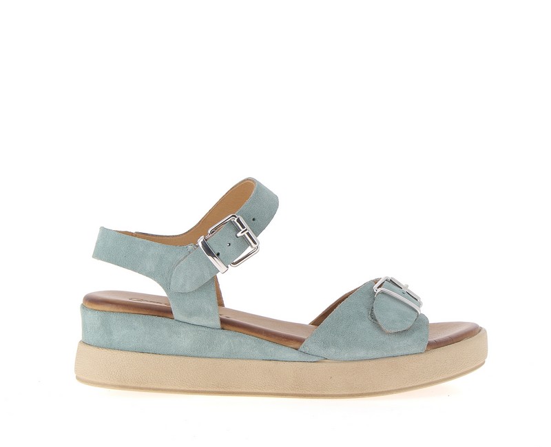 v3378d-acqua