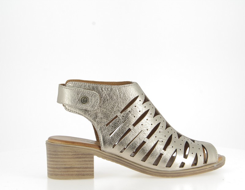 v3396l-champagne