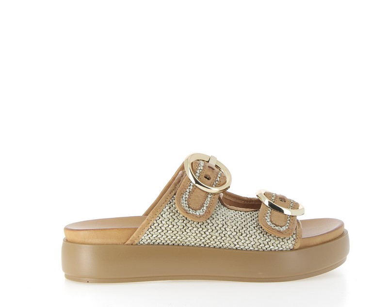 v3326n-coconut