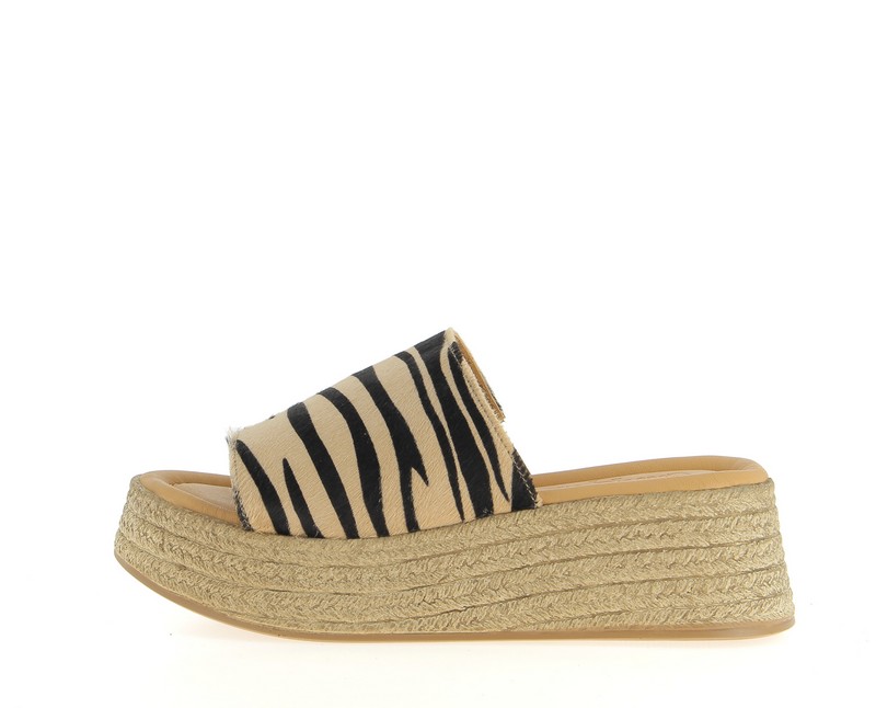 v3417s-zebre
