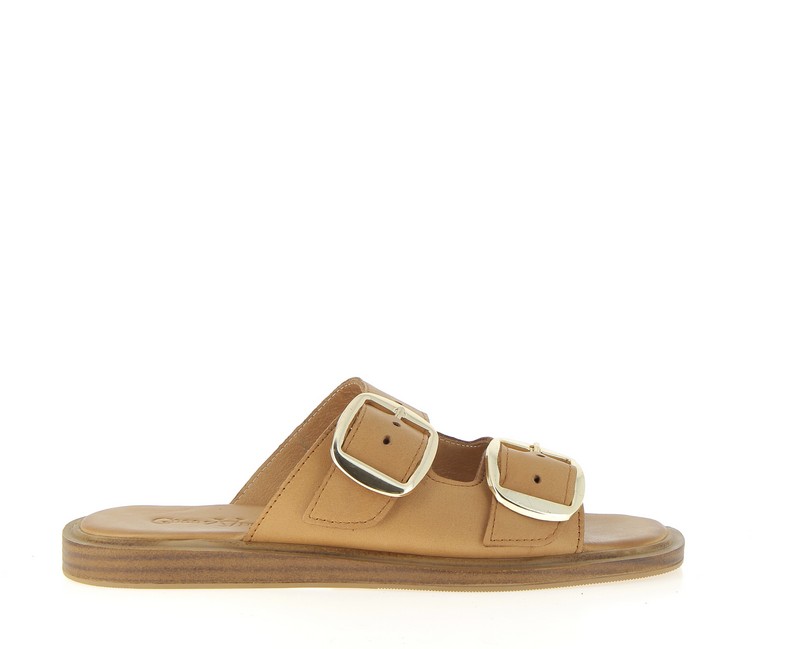 v3422a-coconut