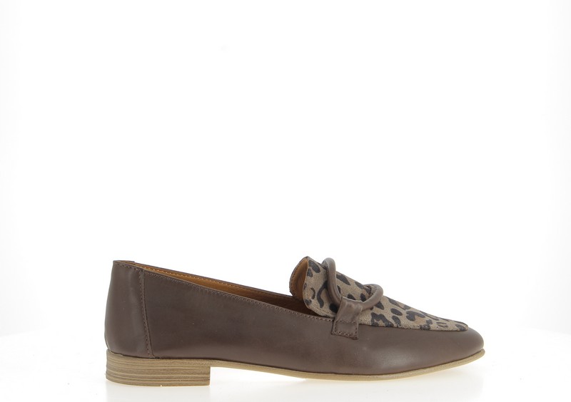 v3572x-praline