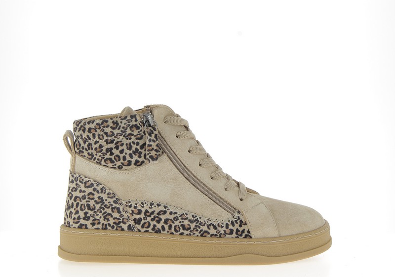v3579q-sable
