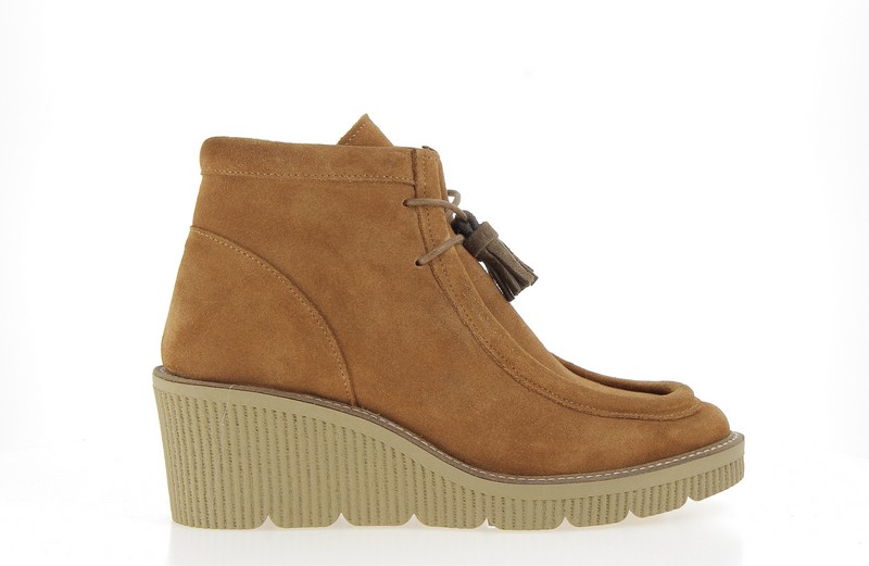 v3618a-camel